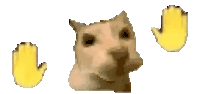 gif of a cat wiggling its emoji hands up and down